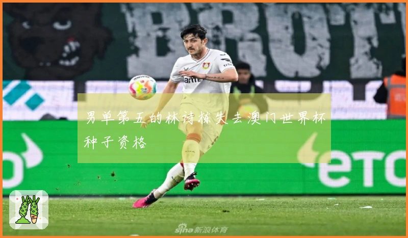 男单第五的林诗栋失去澳门世界杯种子资格